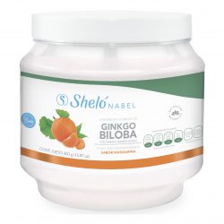 GINKO BILOBA COLAGENO HIDROLIZADO SABOR MANDARINA PVO 450GR S1113